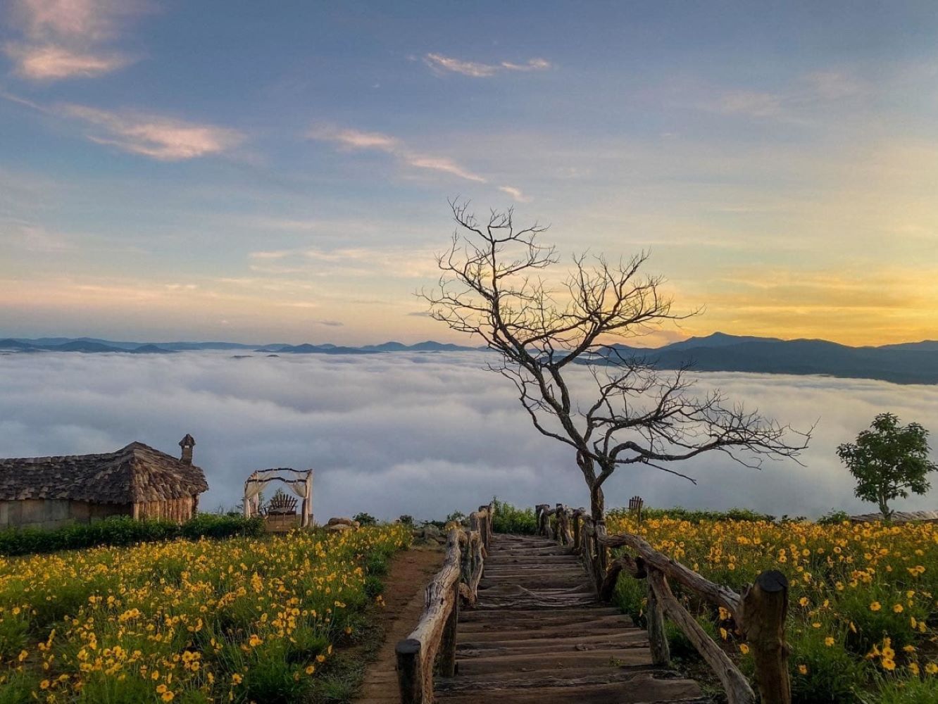 Đà Lạt 2 Ngày 1 Đêm - Hành Trình Tự Túc, Chill Hết Nấc